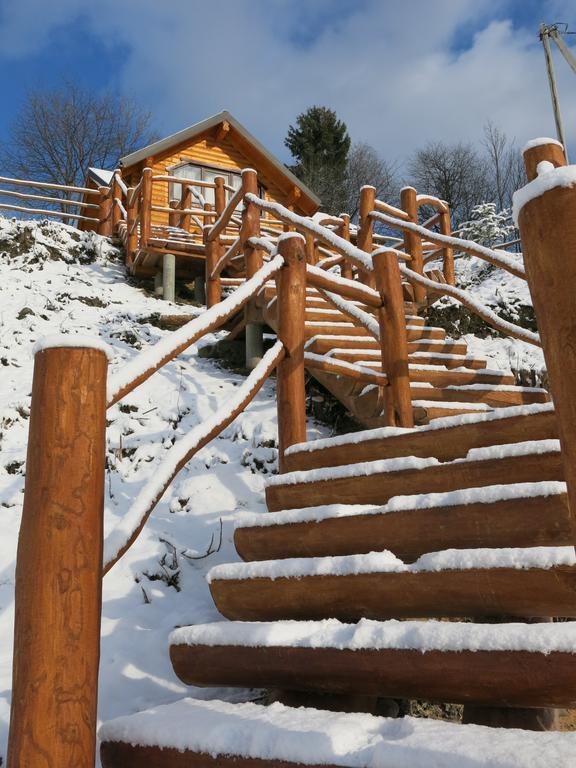 Cottage Goyra Jaremtsje Eksteriør bilde